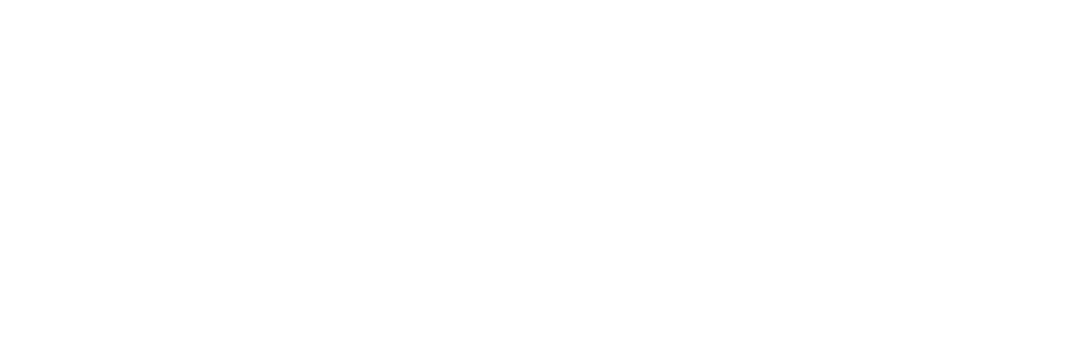 Logo STE